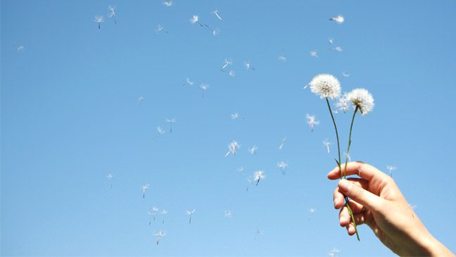 hay-fever-or-cold--how-to-tell-the-difference-136389813945102601-140501164859